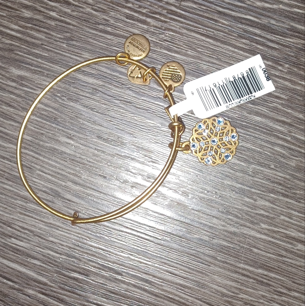 NWT Alex and Ani 2016 Snow Flake ❄️ Engery Charm Bracelet